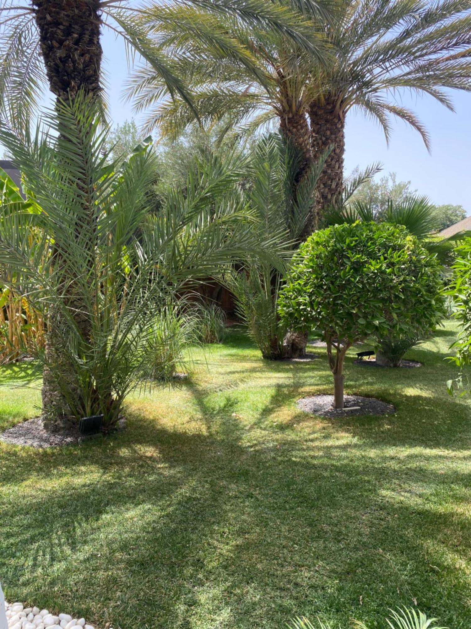 Villa Mano Lagouassem Luaran gambar