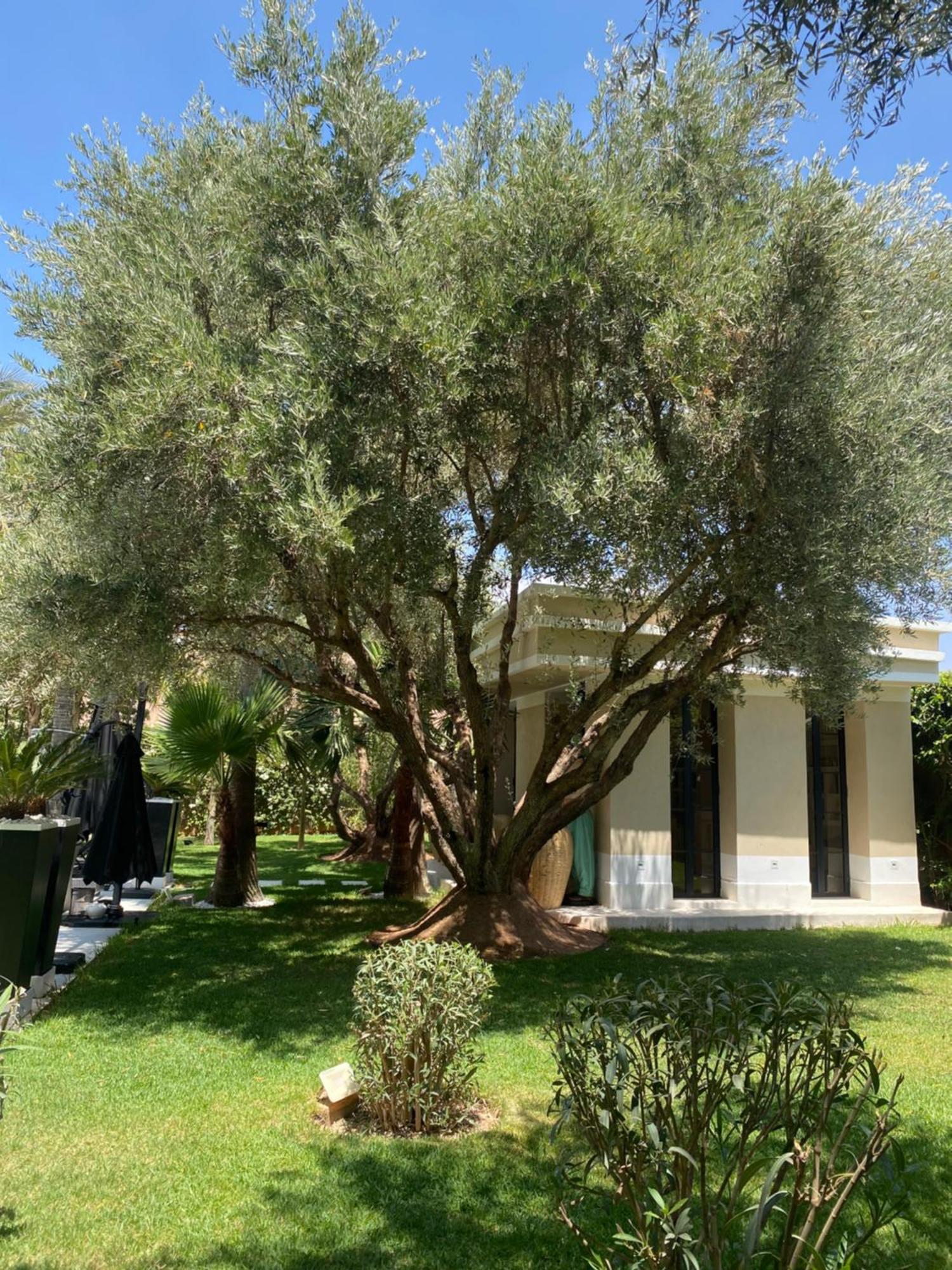 Villa Mano Lagouassem Luaran gambar