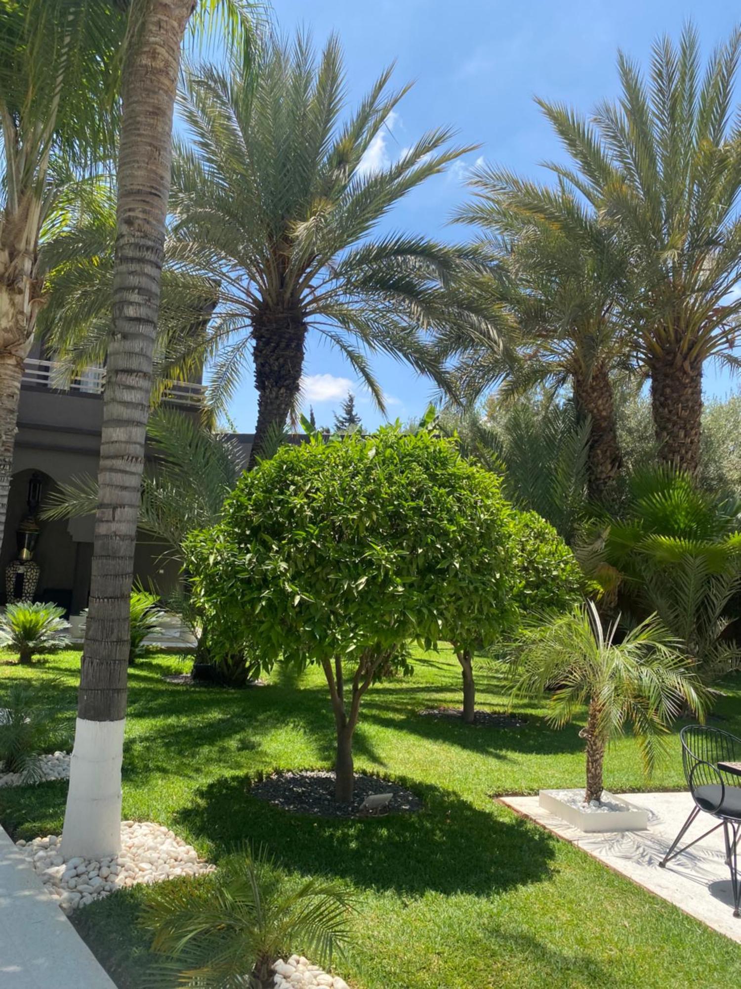 Villa Mano Lagouassem Luaran gambar